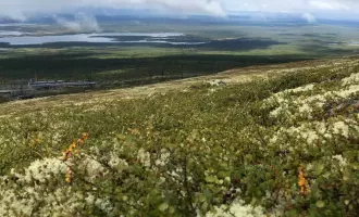 "Ловозерские тундры", Лето,  без ночевки в гостинице, автобусный тур из Мурманска на 1 день