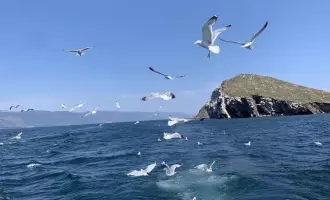 "Ворота Байкала", тур на 5 дней, экскурсии + отдых