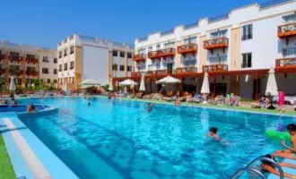 FALCON NAAMA STAR